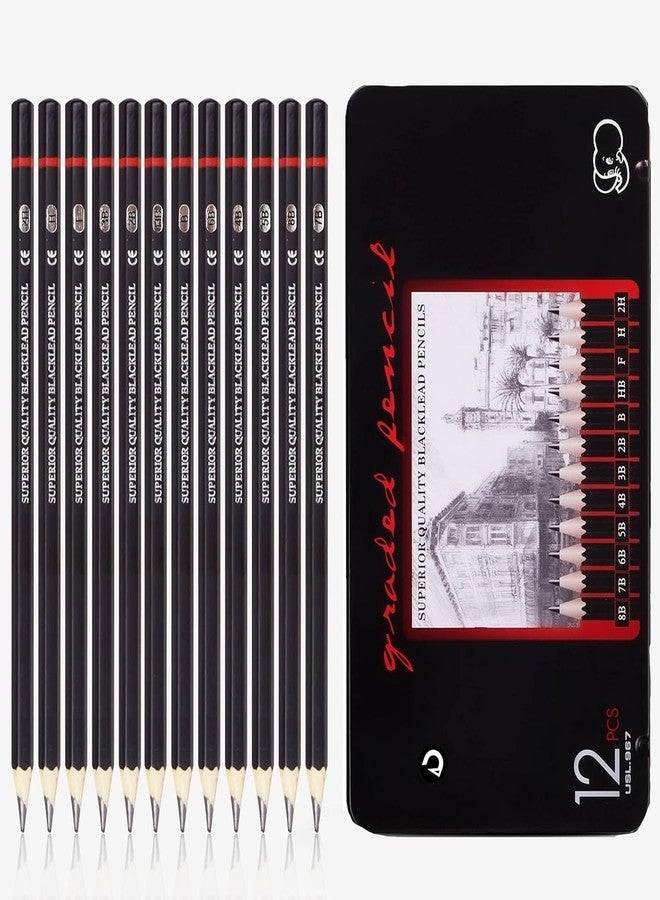 DaKos Sketch Pencil Set, Sketch Pencil Set for Artists, Drawing Art Pencils, Artists Beginner Sketching, Drawing Supplies for Adults & Kids, Art Pencils (12 Pencils Set in Tin Box) - Image 1